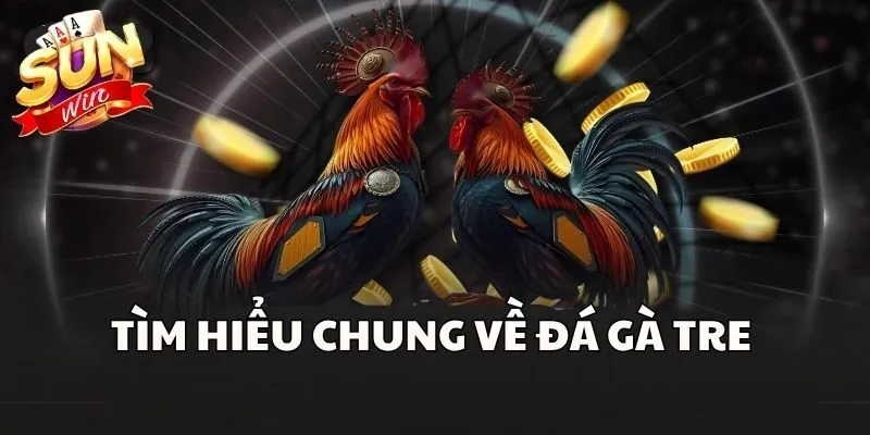 Đá Gà Tre - Bộ Môn Giải Trí Được Nhiều Kê Thủ Yêu Thích 1 Tìm hiểu chung về Đá Gà Tre